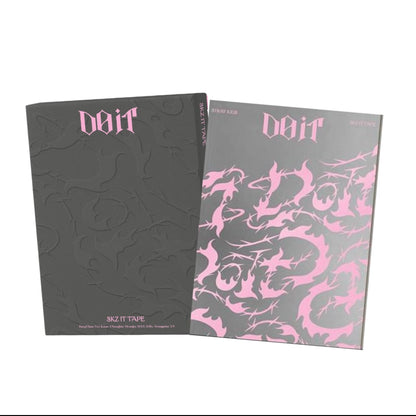 STRAY KIDS [DO IT] ALBUM